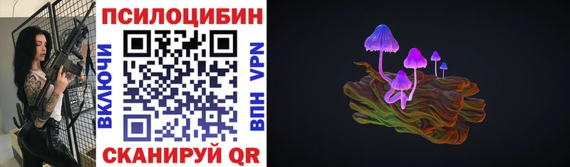 Псилоцибиновые грибы Psilocybine cubensis  Выкса 